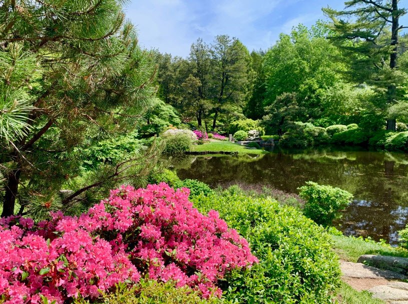 Wild Gardens of Acadia, United States
